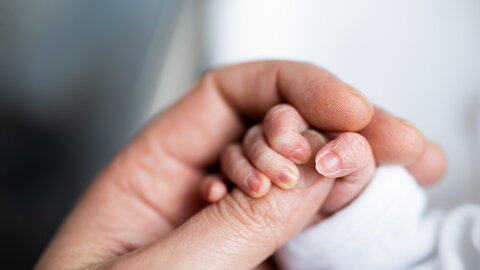 Babyhand klammert den Daumen einer Hand